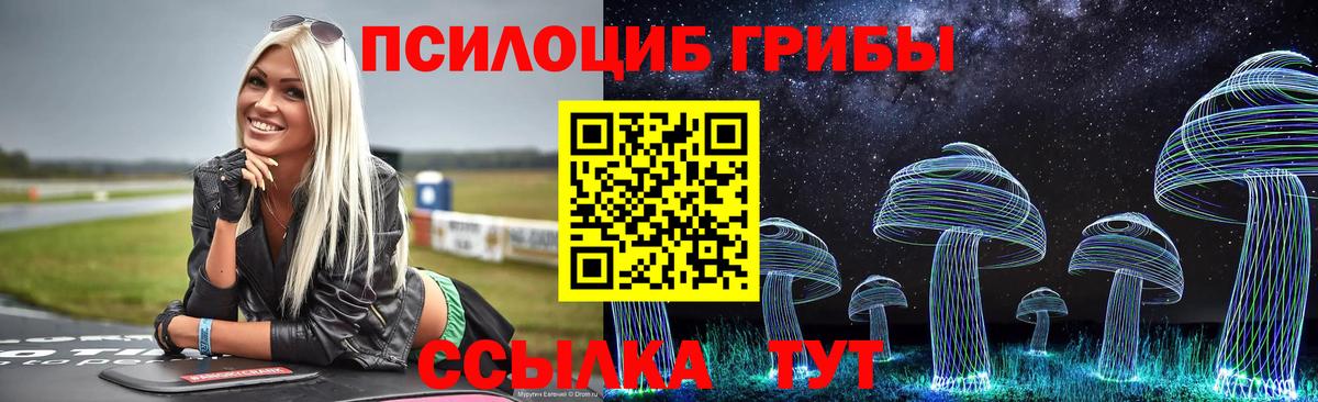 Зеленокумск  Галлюциногенные грибы мухоморы  где купить наркотик  Вход с VPN  Галлюциногенные грибы Psilocybine cubensis 